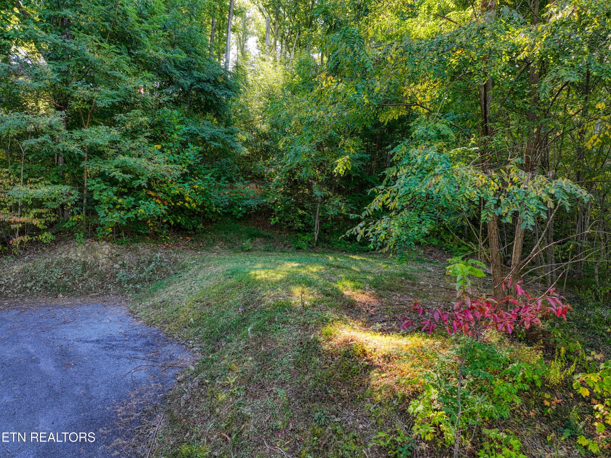 1020 Pine Top Lane