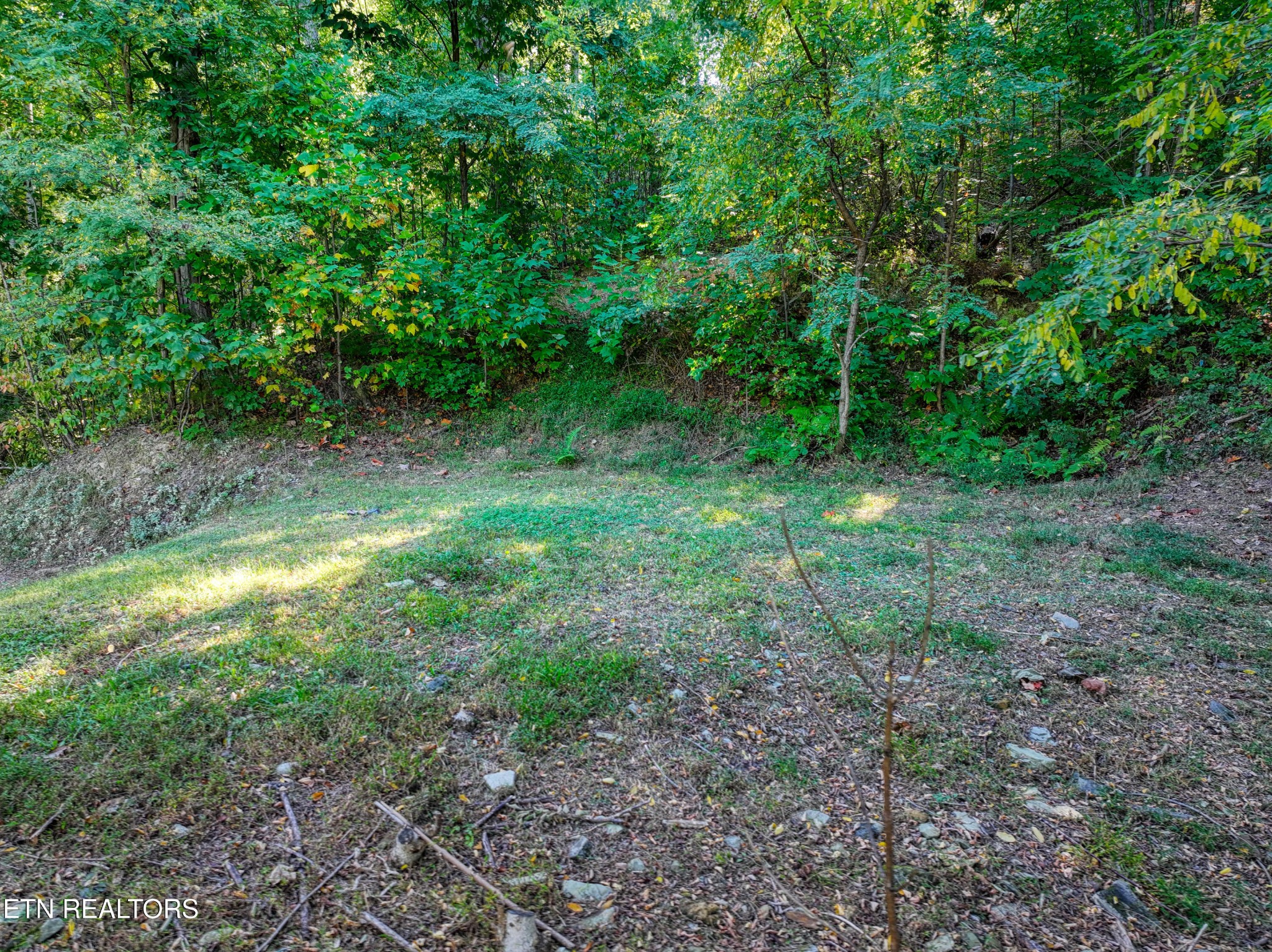 1020 Pine Top Lane