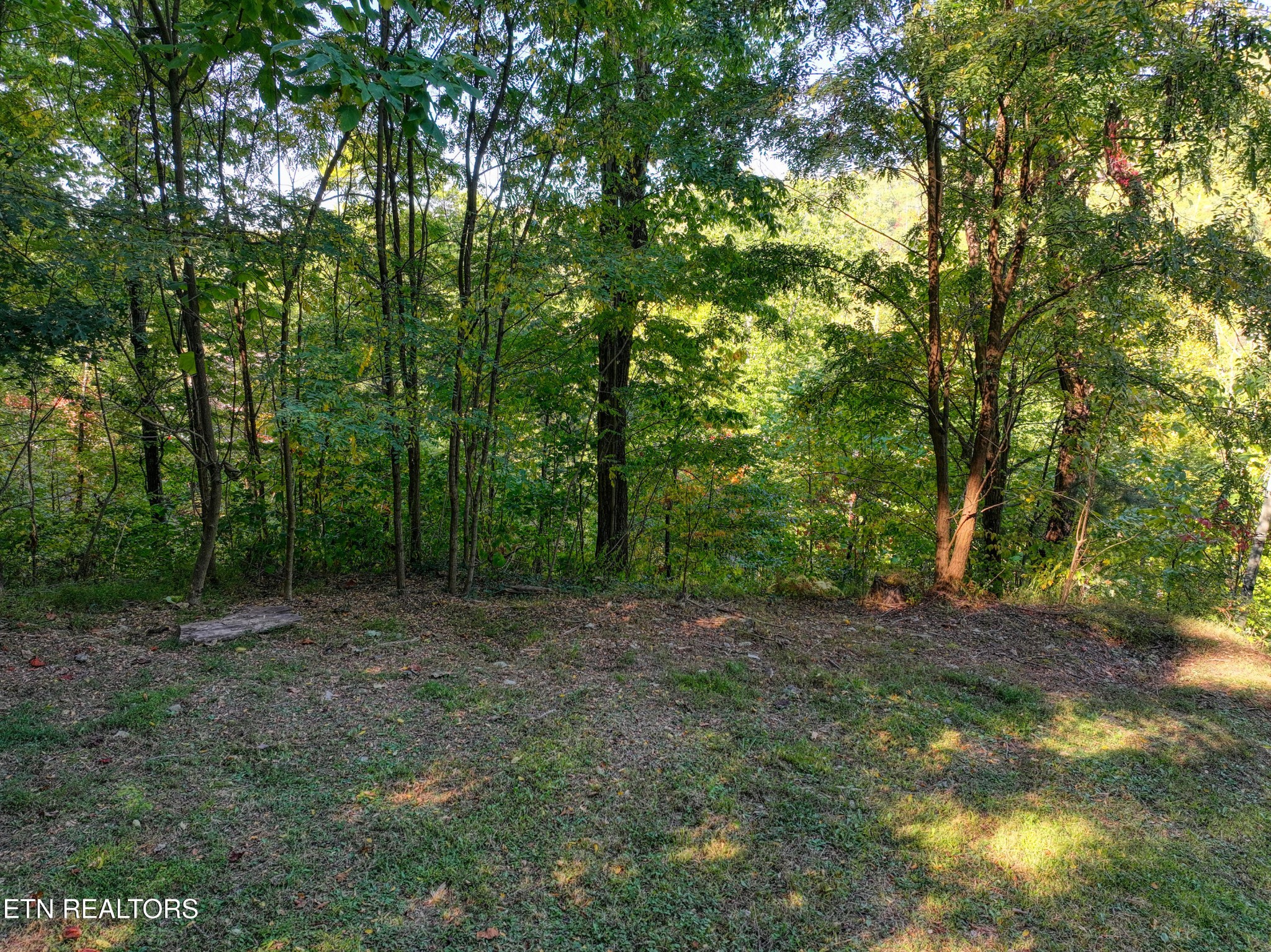 1020 Pine Top Lane