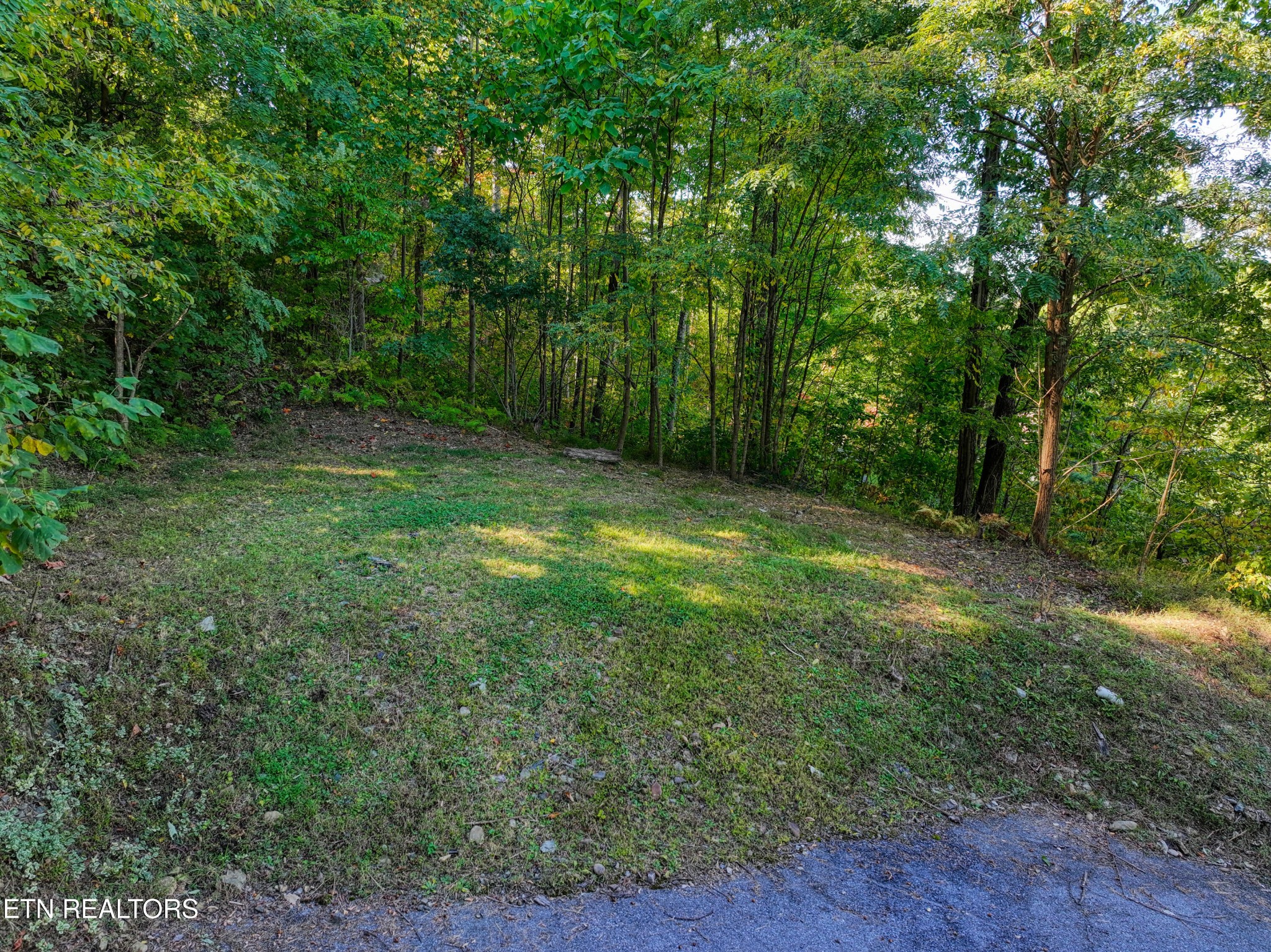 1020 Pine Top Lane