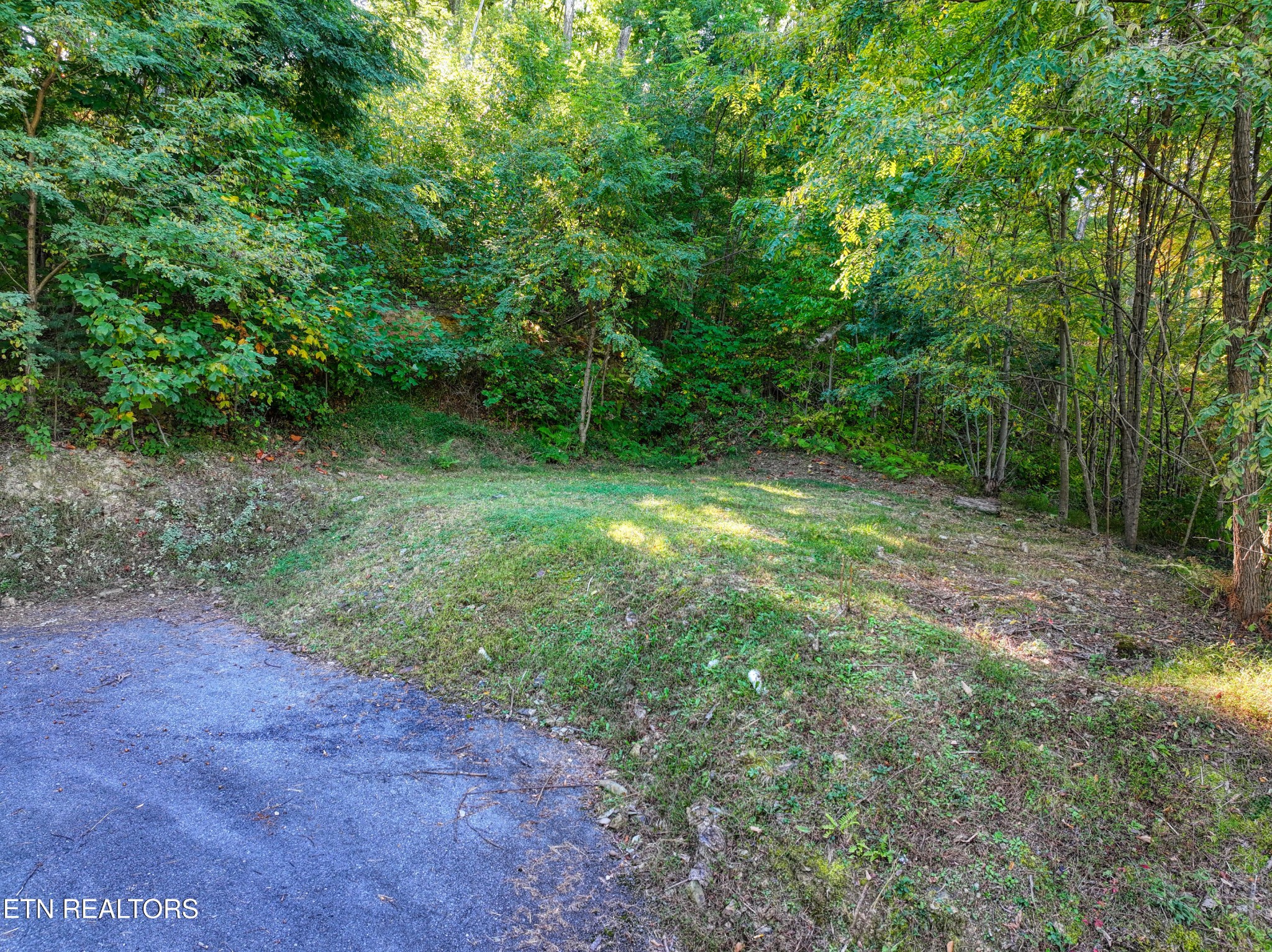 1020 Pine Top Lane