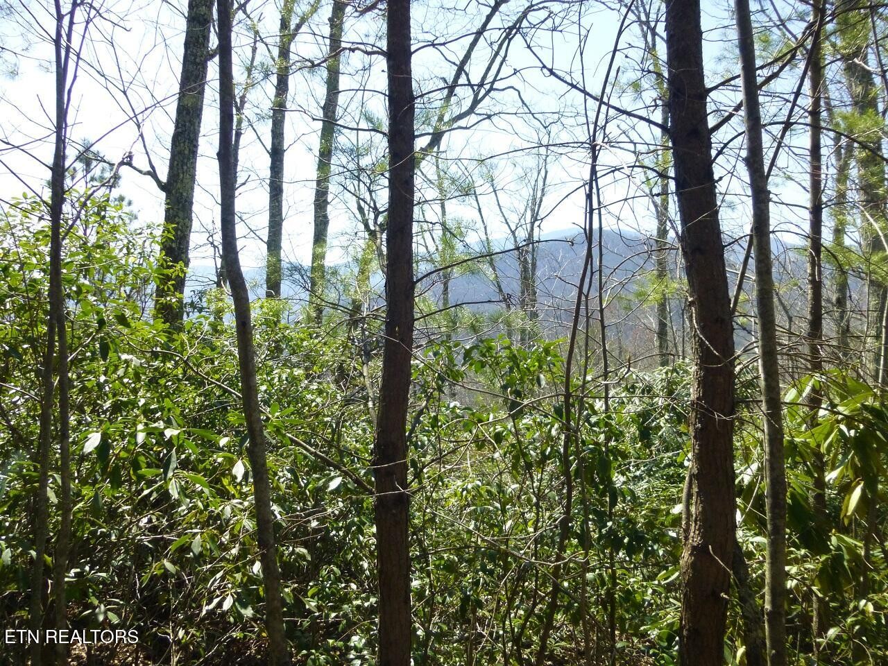2425 Sonshine Ridge Rd