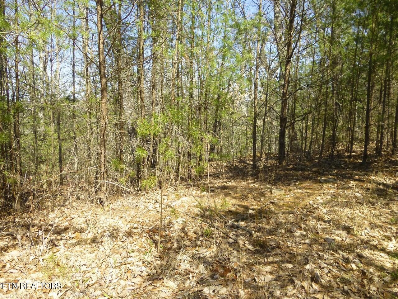 2425 Sonshine Ridge Rd
