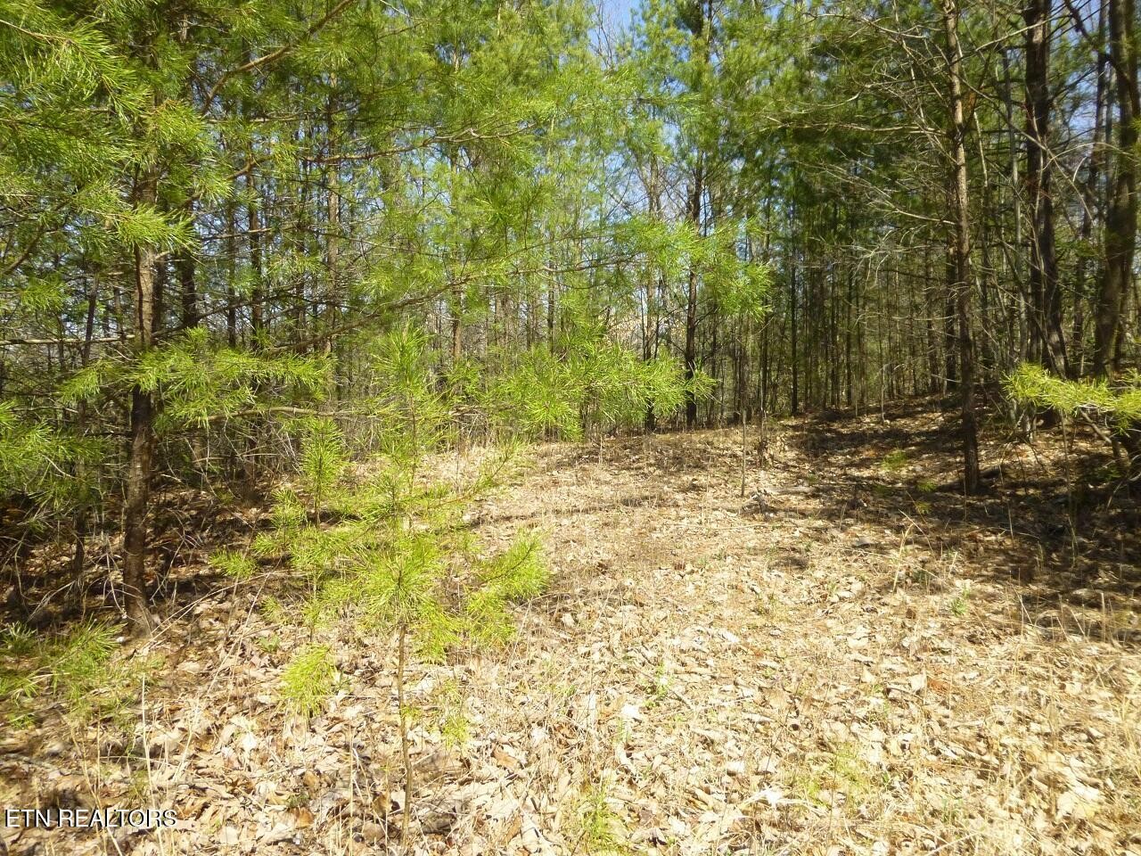 2425 Sonshine Ridge Rd