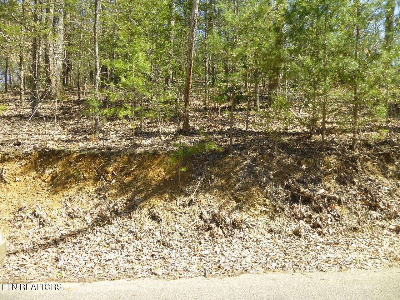 2425 Sonshine Ridge Rd