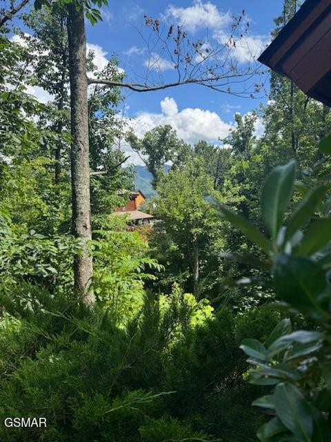 Wooded property view through dense greenery toward a distant house and mountain.