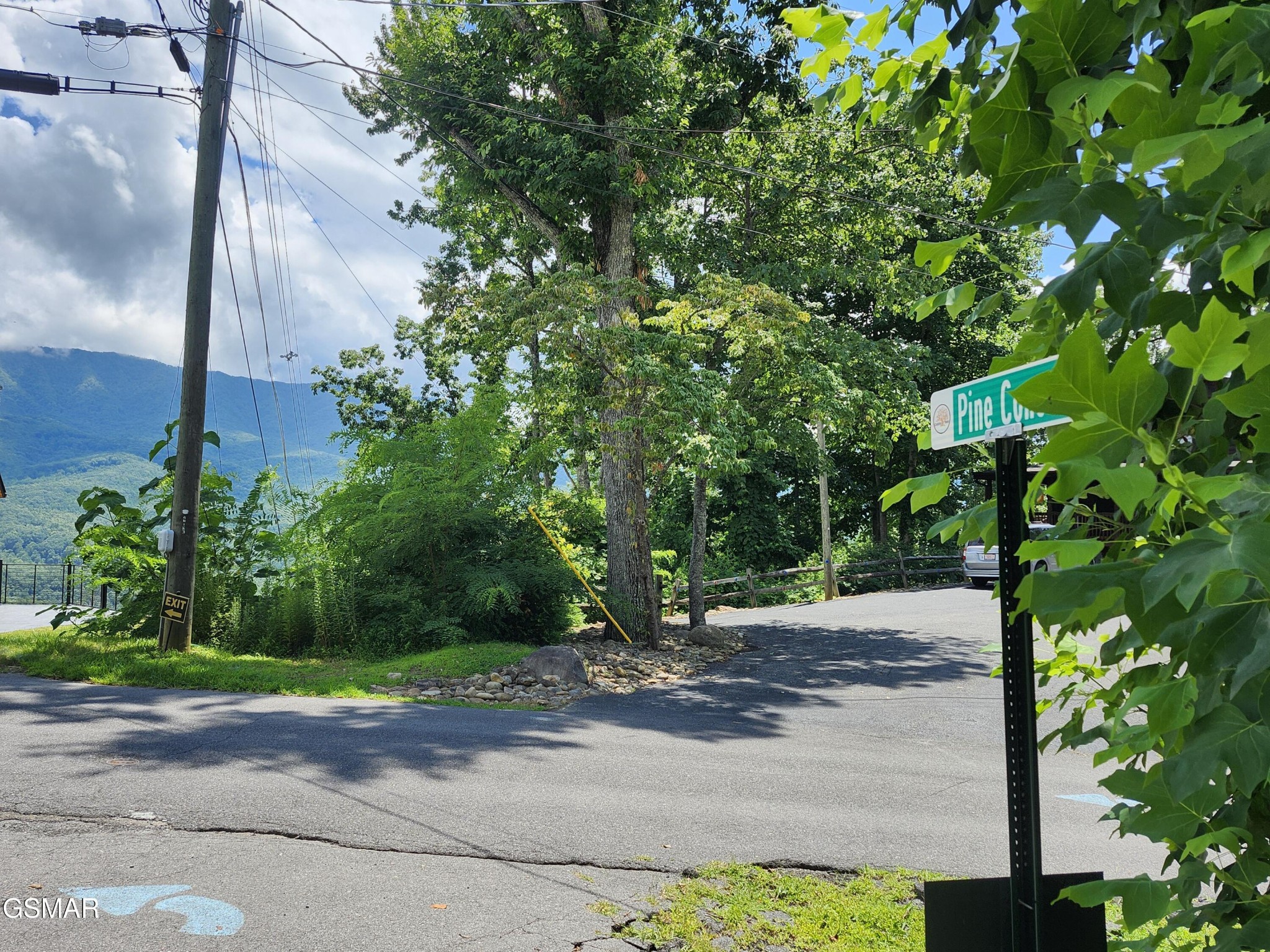 Pine Cone Way street sign beside a tree-lined road, with a forested mountain in the distance.