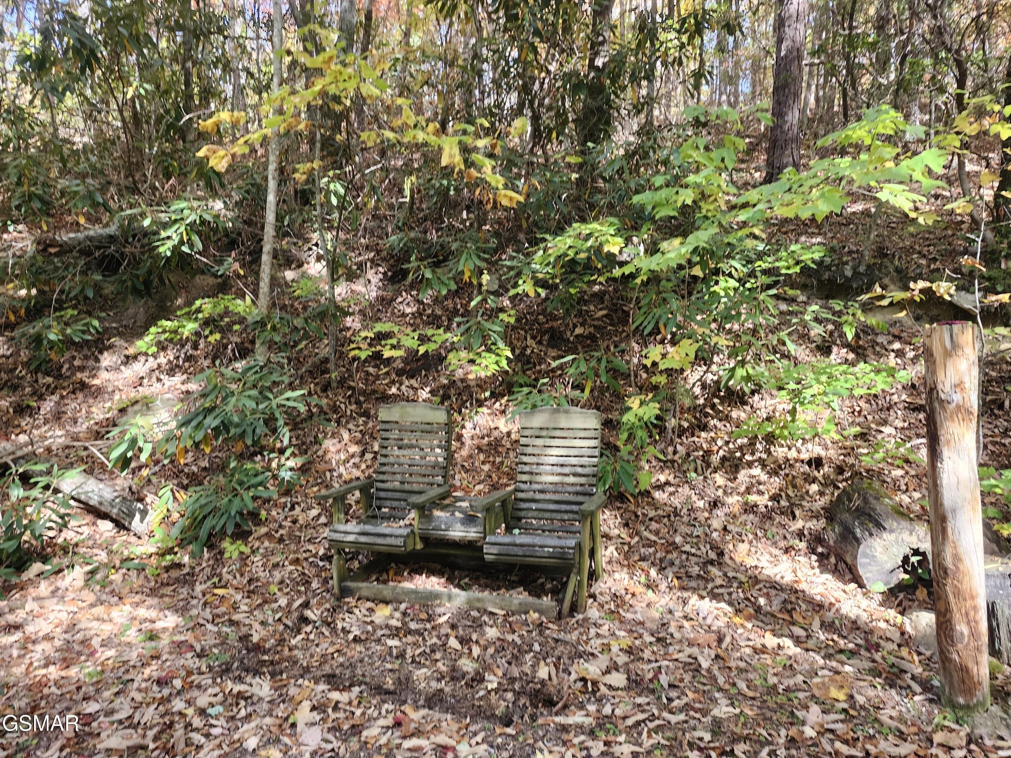 Two wooden chairs in a leaf-covered clearing surrounded by trees.
