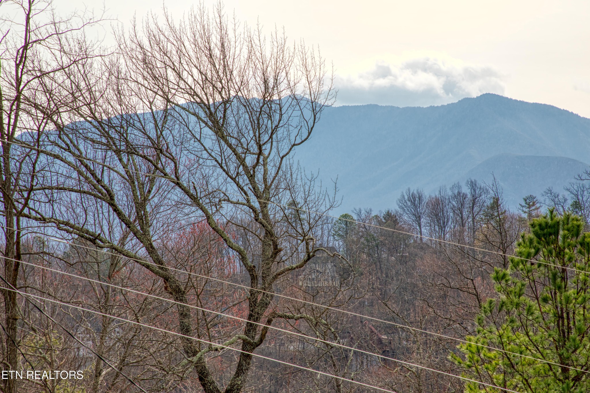 Blue mountain ridges and low clouds beyond bare trees and utility lines.