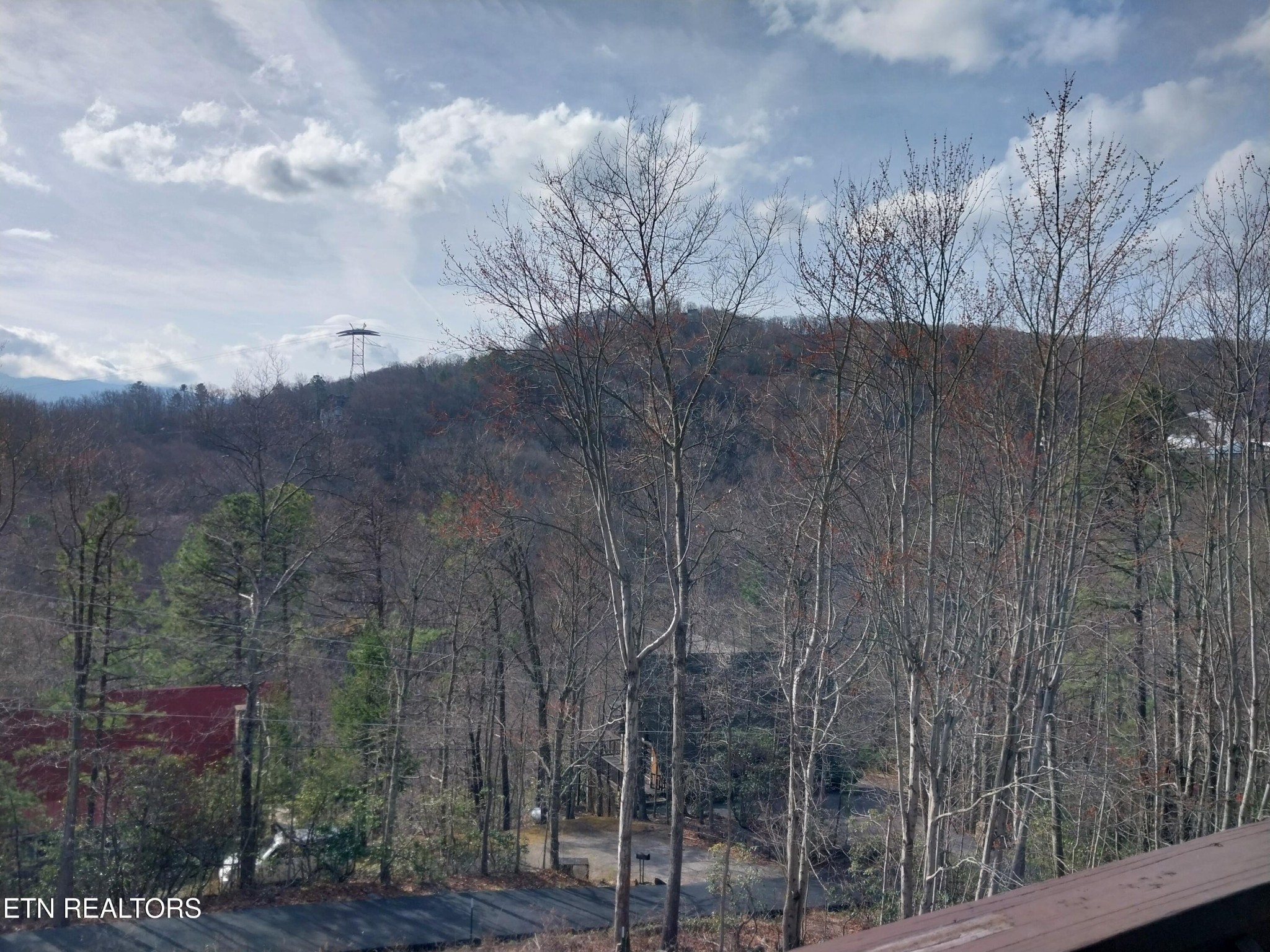Wooded mountain view from the unit, with bare trees, scattered evergreens, and rooftops below.
