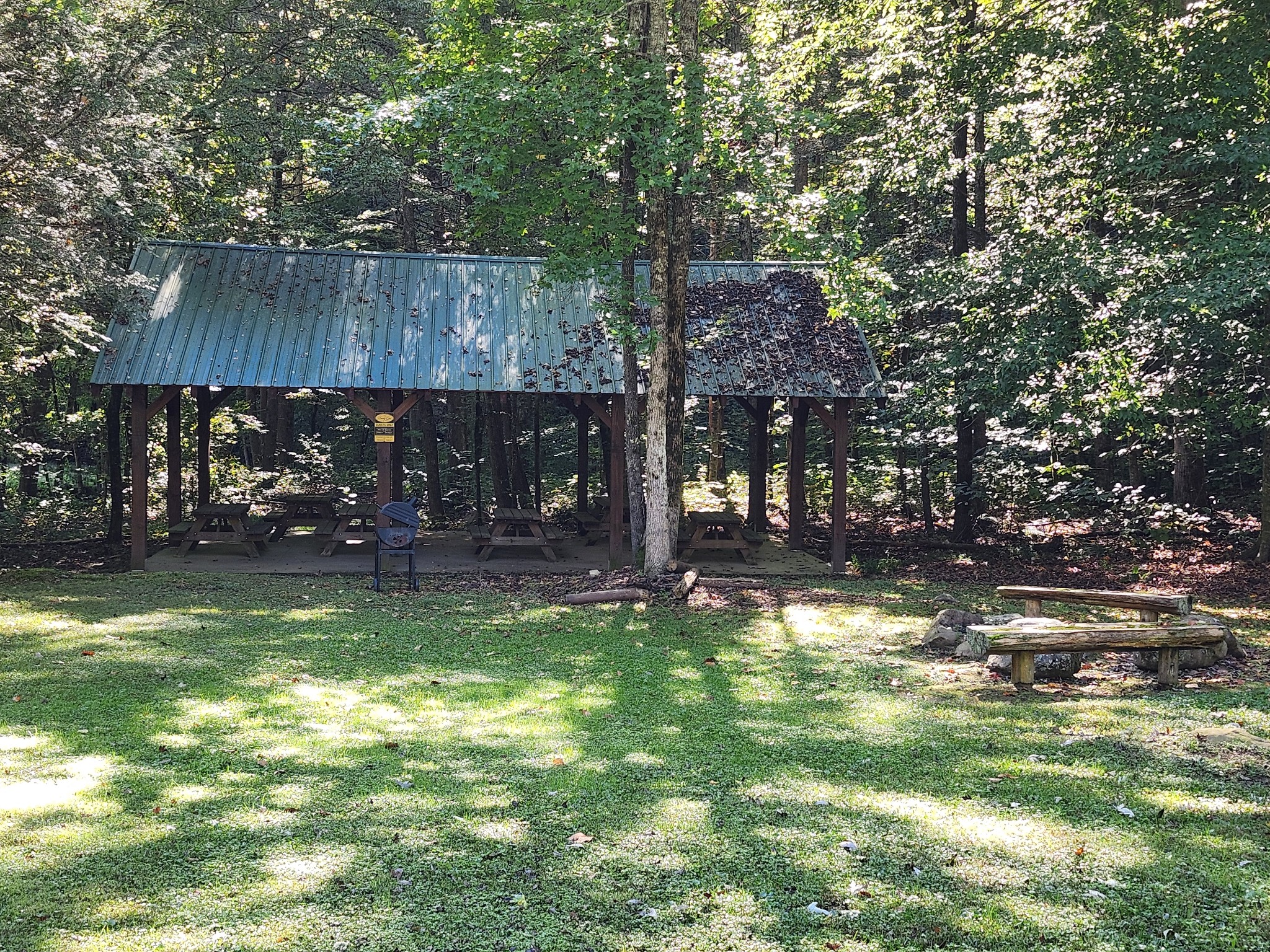 Covered picnic pavilion with tables and a grill in a wooded clearing.