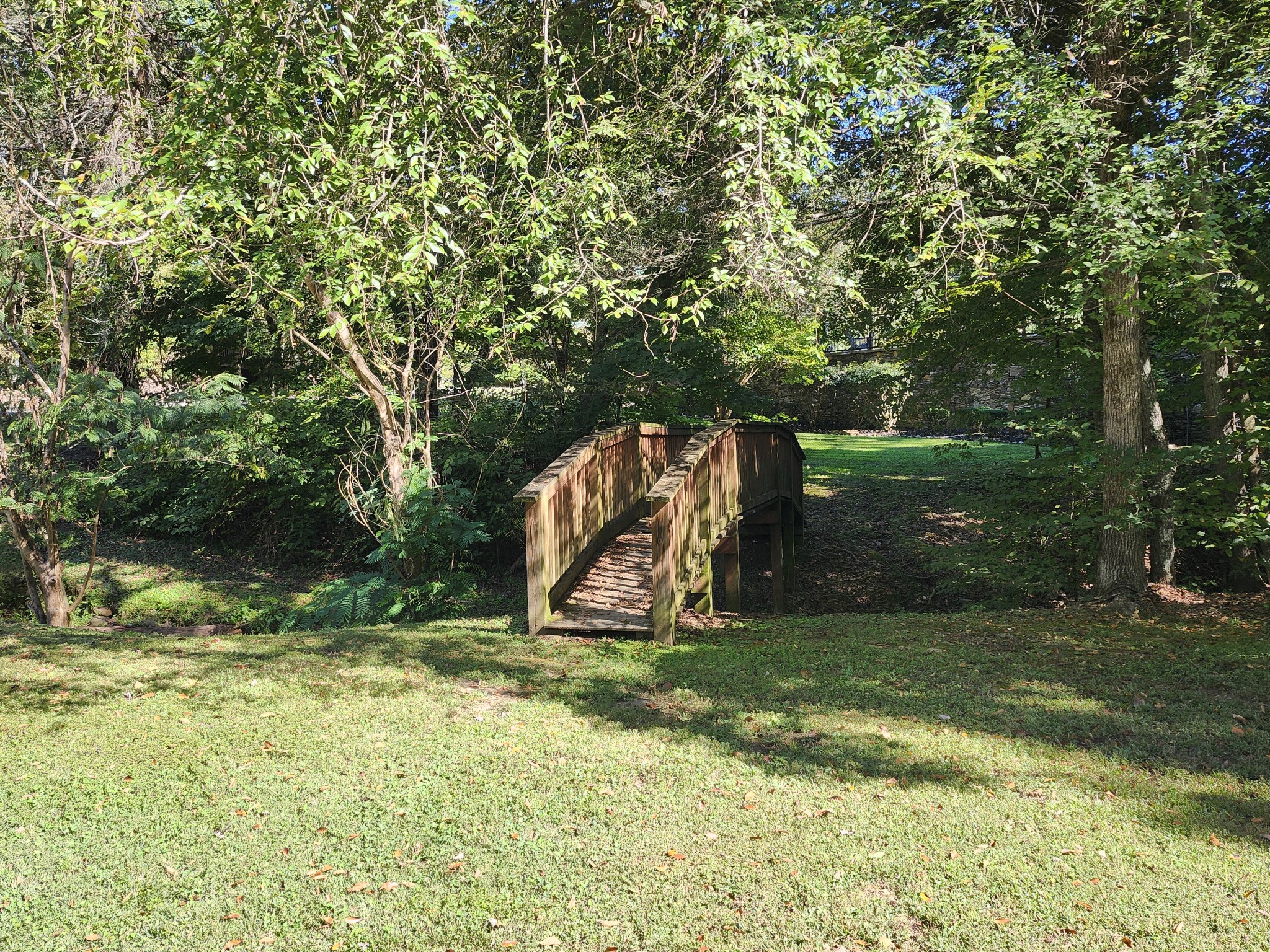 Wooden footbridge in a shaded, tree-lined backyard.