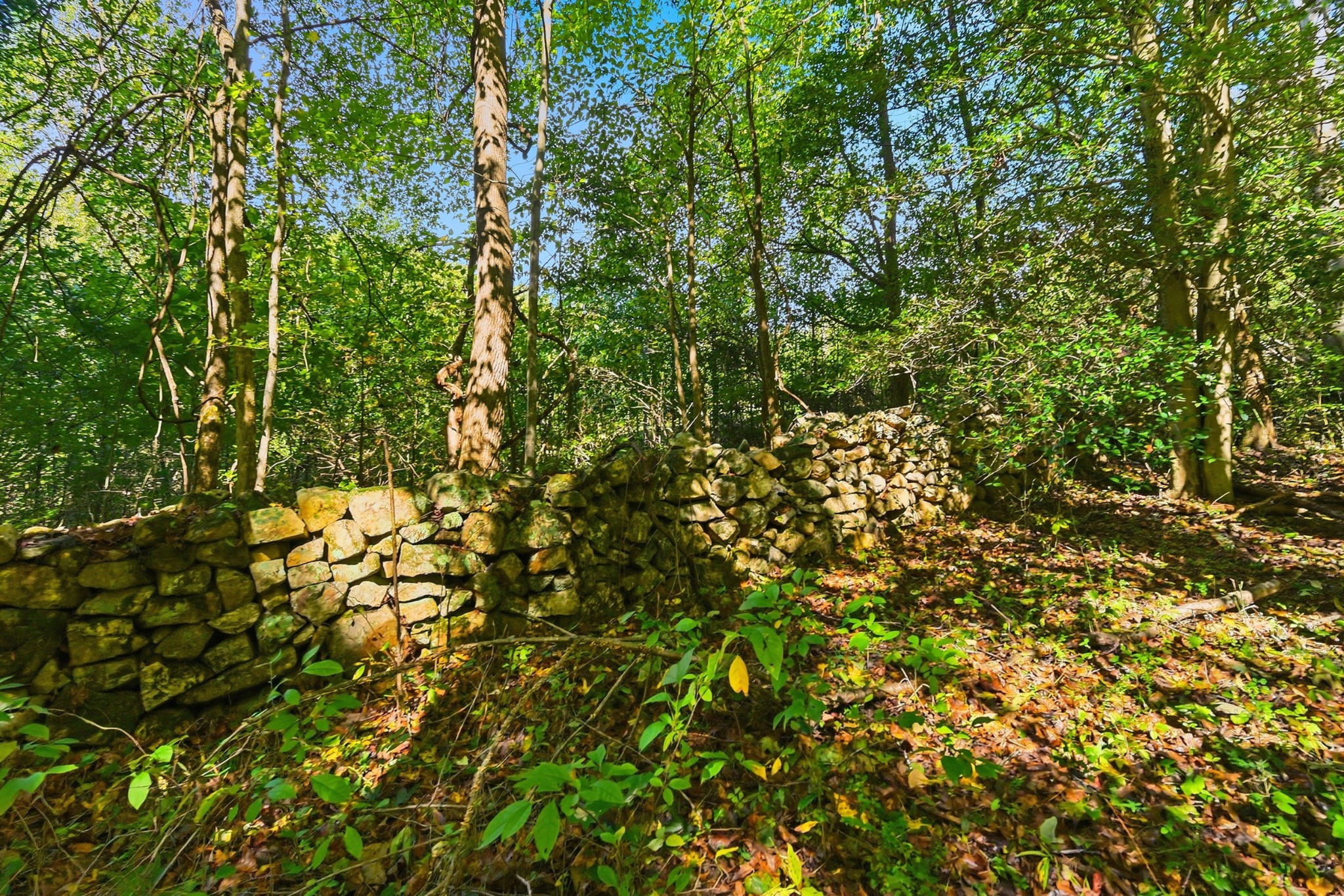 0 Timber Lake Drive