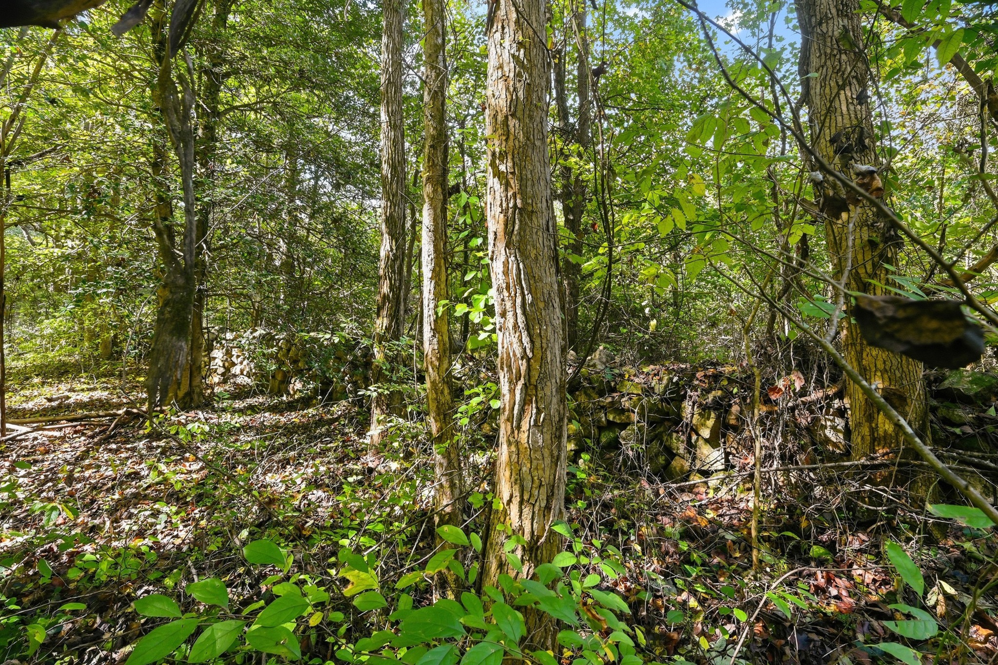 0 Timber Lake Drive