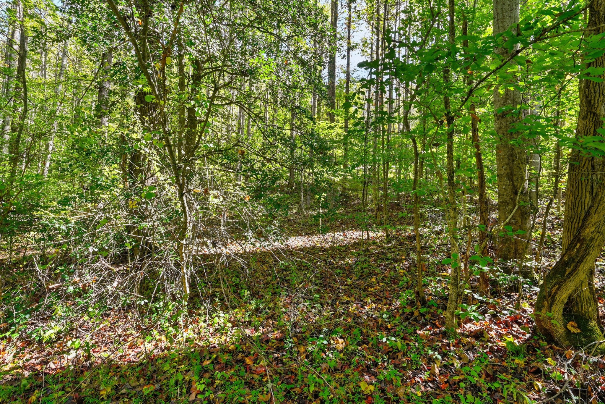 0 Timber Lake Drive