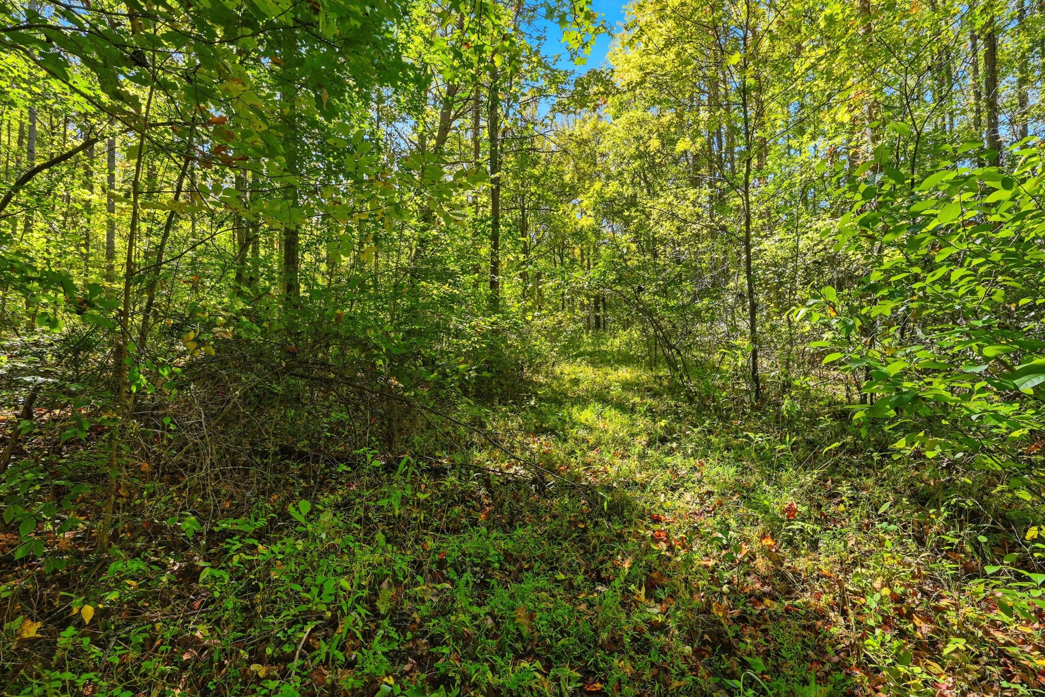 0 Timber Lake Drive