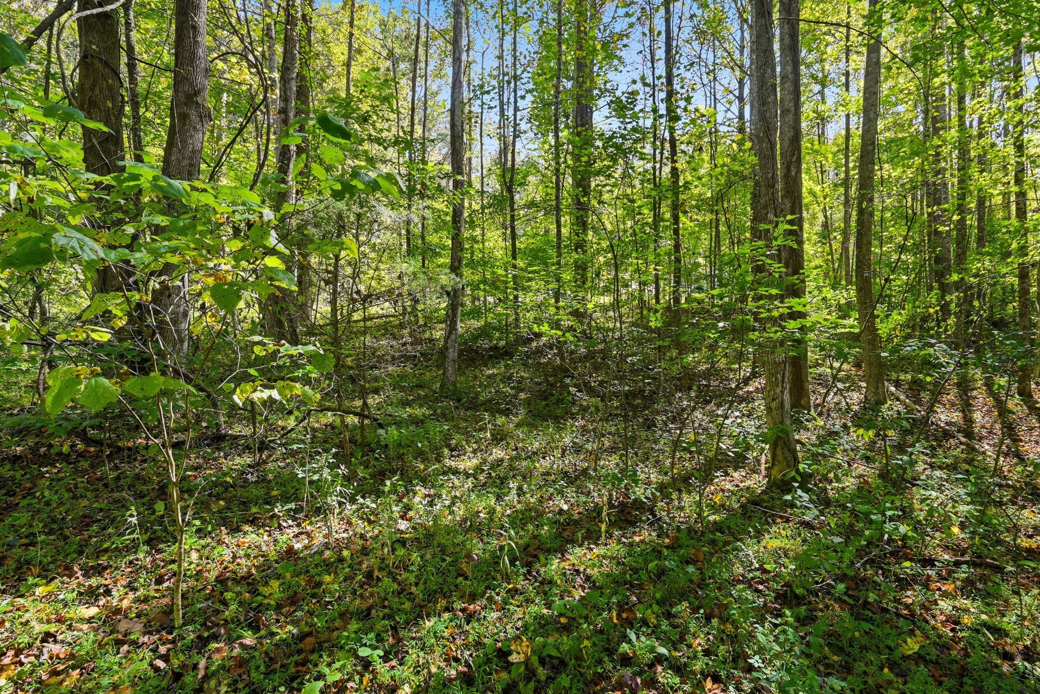 0 Timber Lake Drive