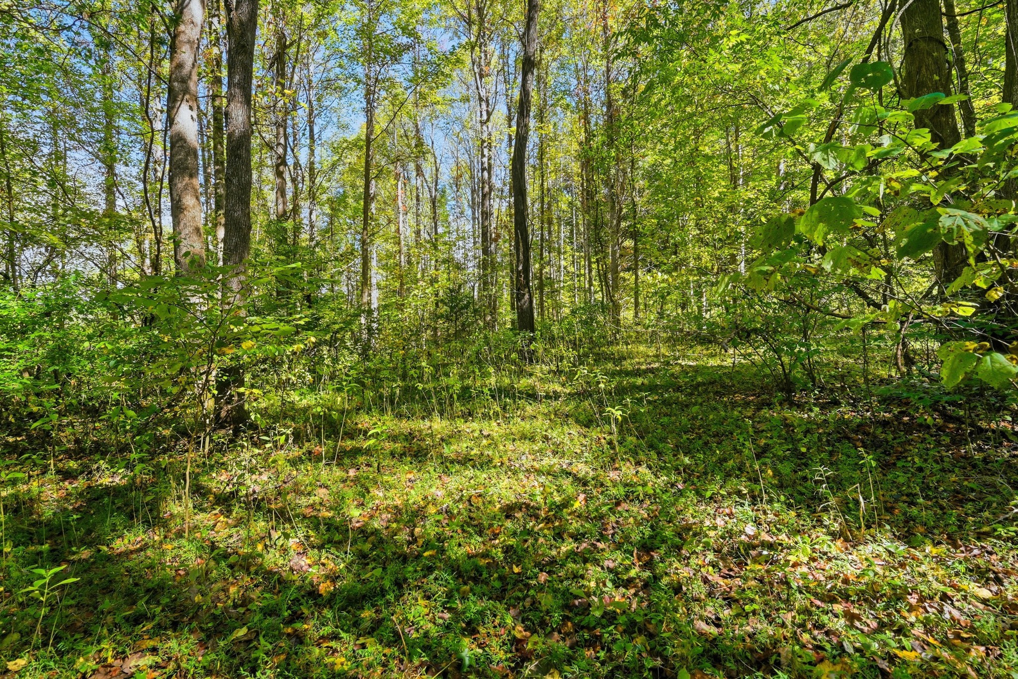 0 Timber Lake Drive