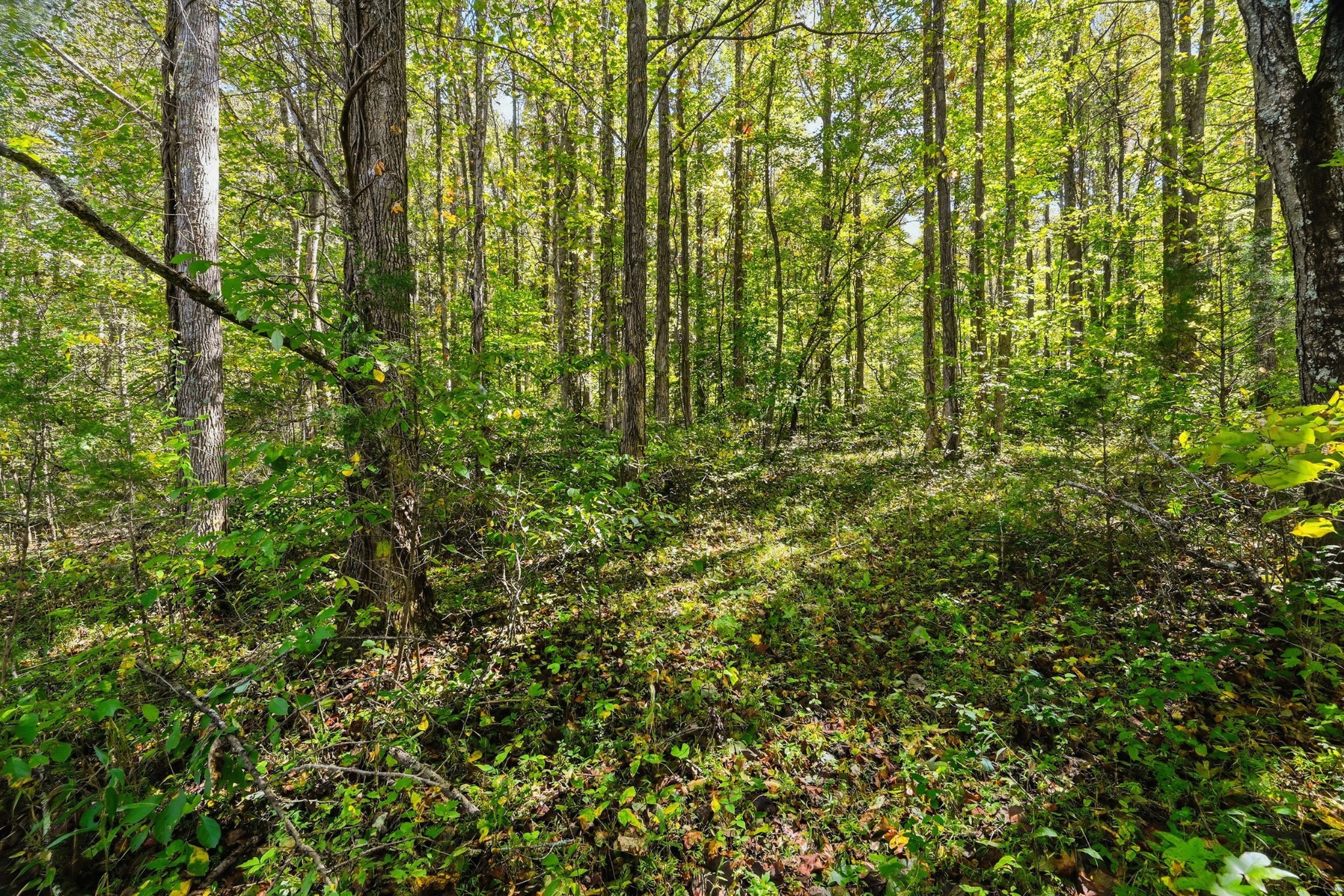 0 Timber Lake Drive