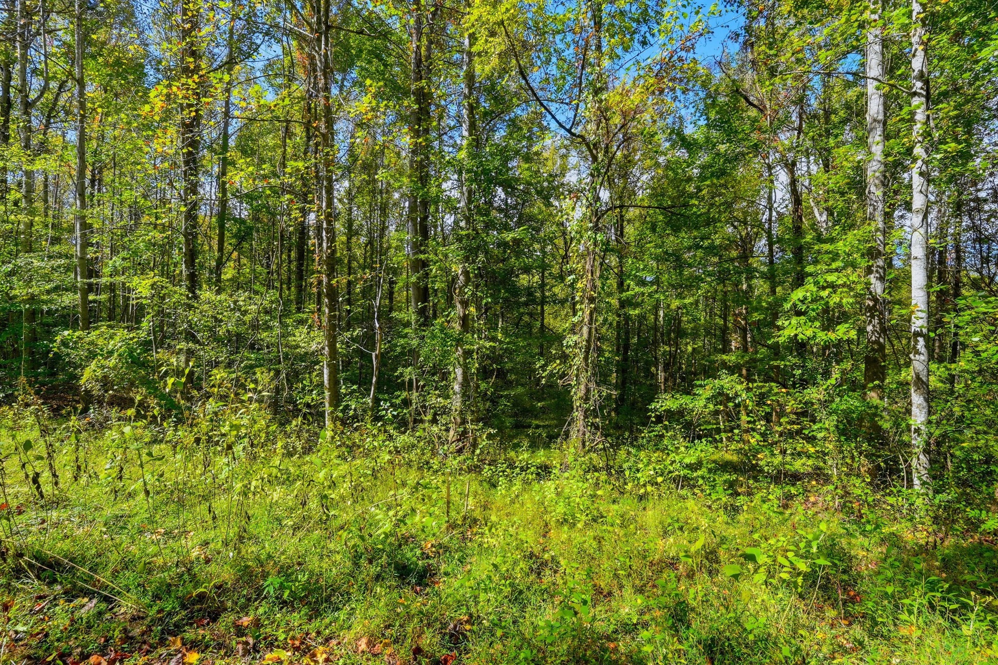 0 Timber Lake Drive