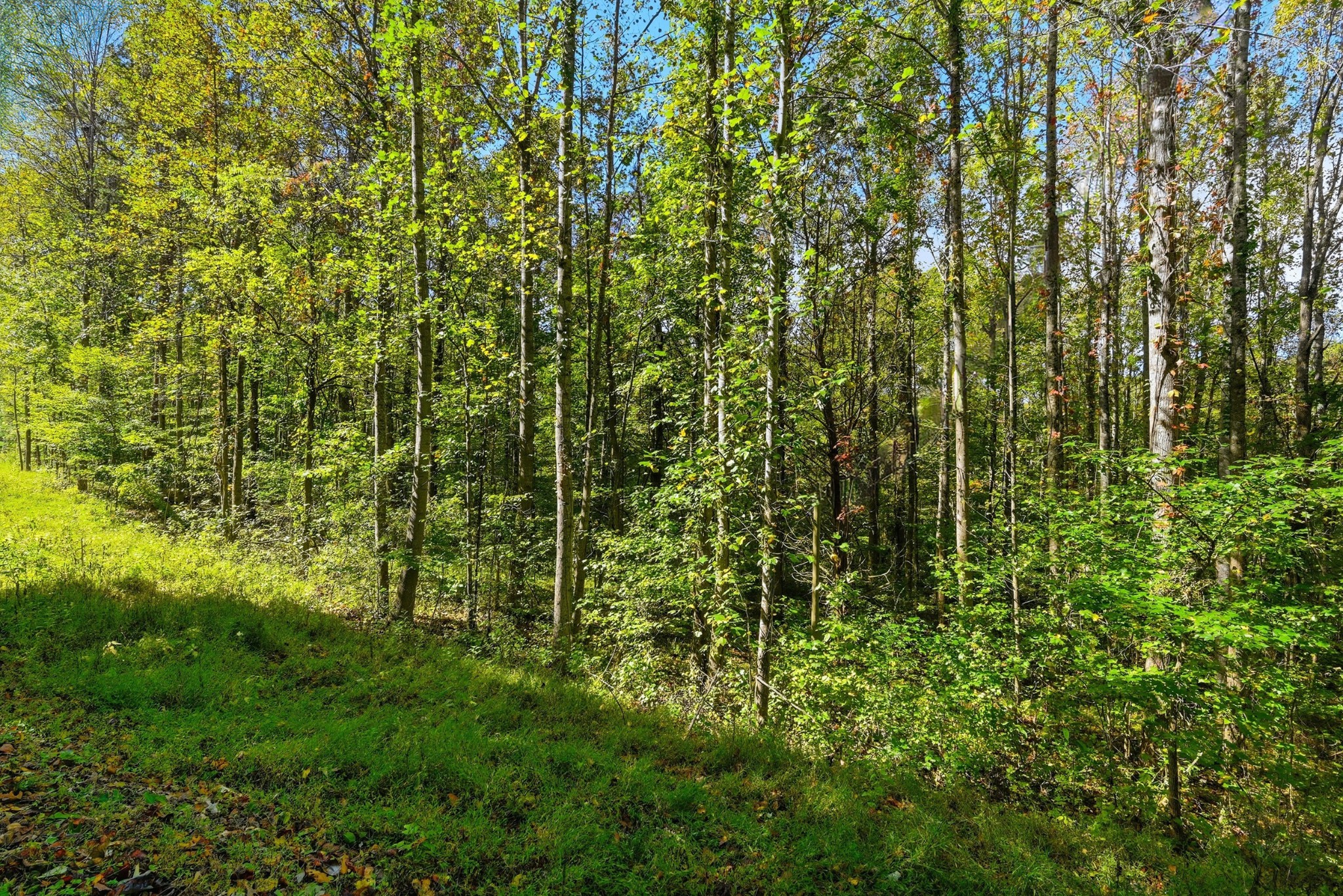 0 Timber Lake Drive