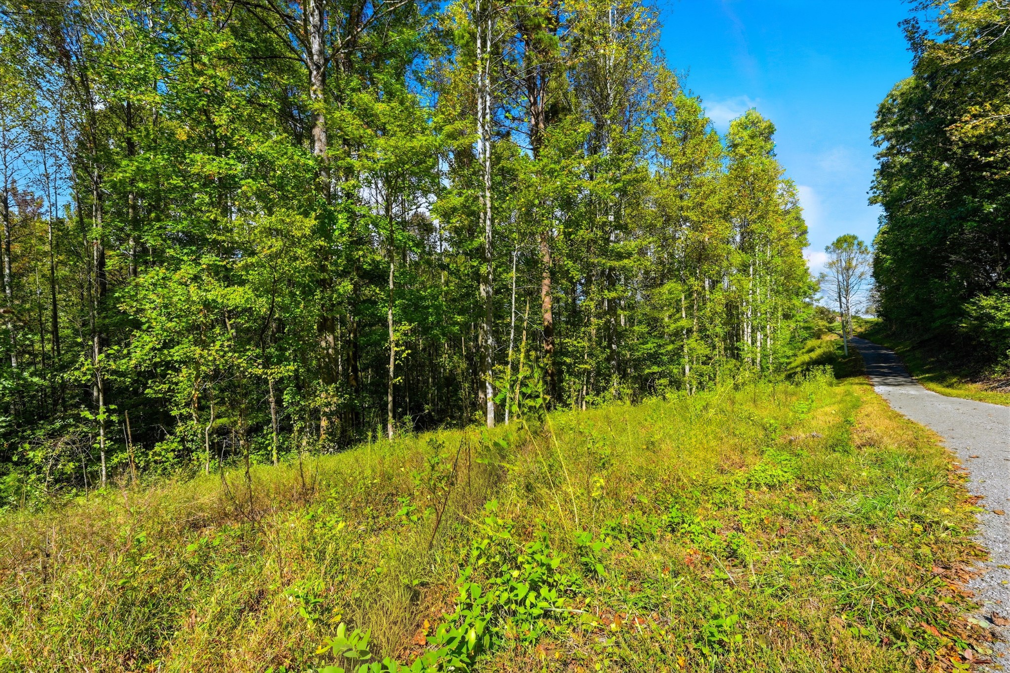 0 Timber Lake Drive