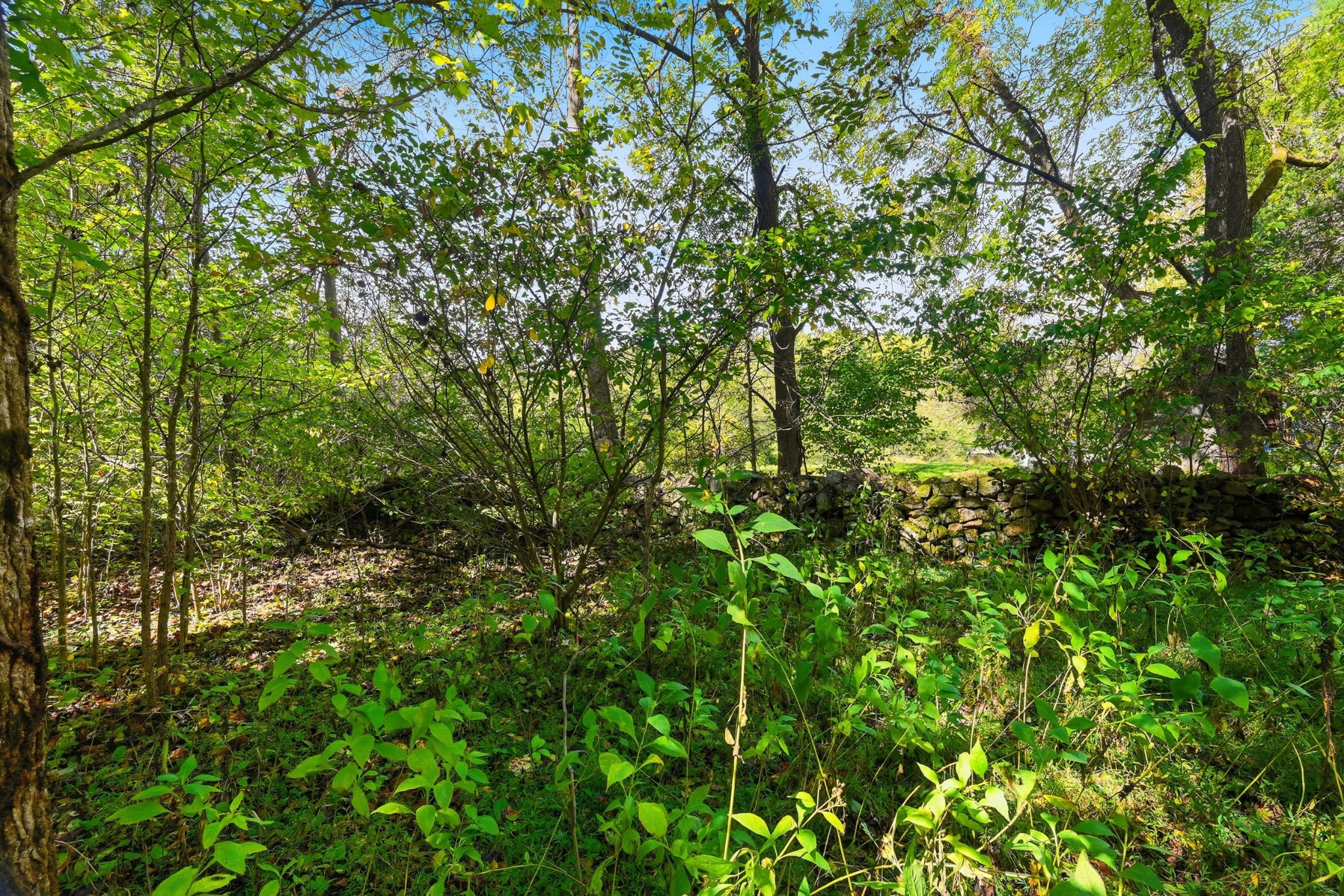 0 Timber Lake Drive