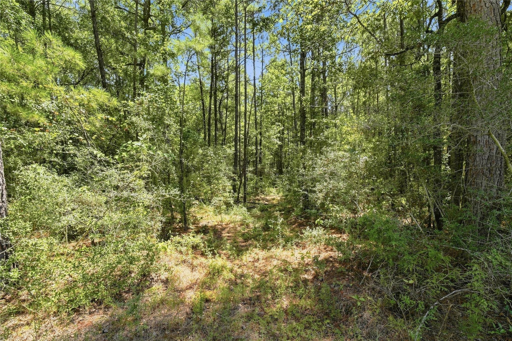 8-6-293 Stillwater Road