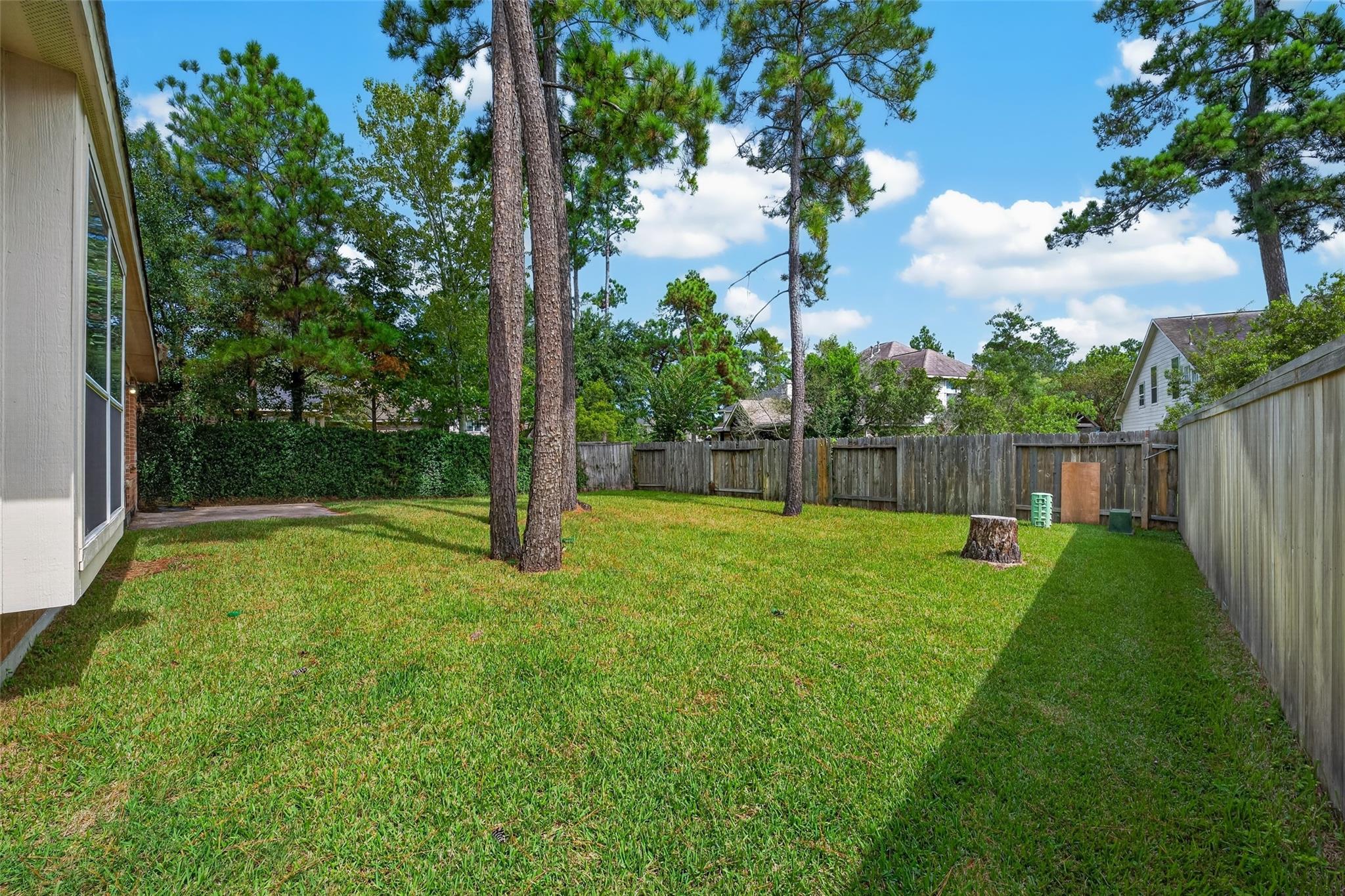 Fenced backyard with a grassy lawn, mature pine trees, and a tree stump.