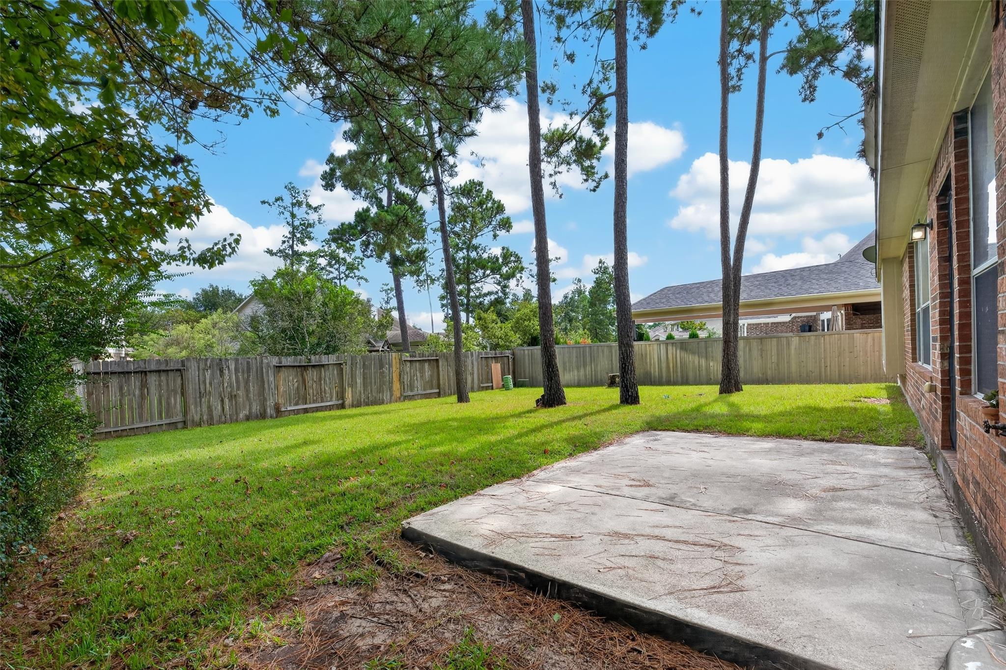 Backyard with a concrete patio, grassy lawn, tall pine trees, and a wooden privacy fence.