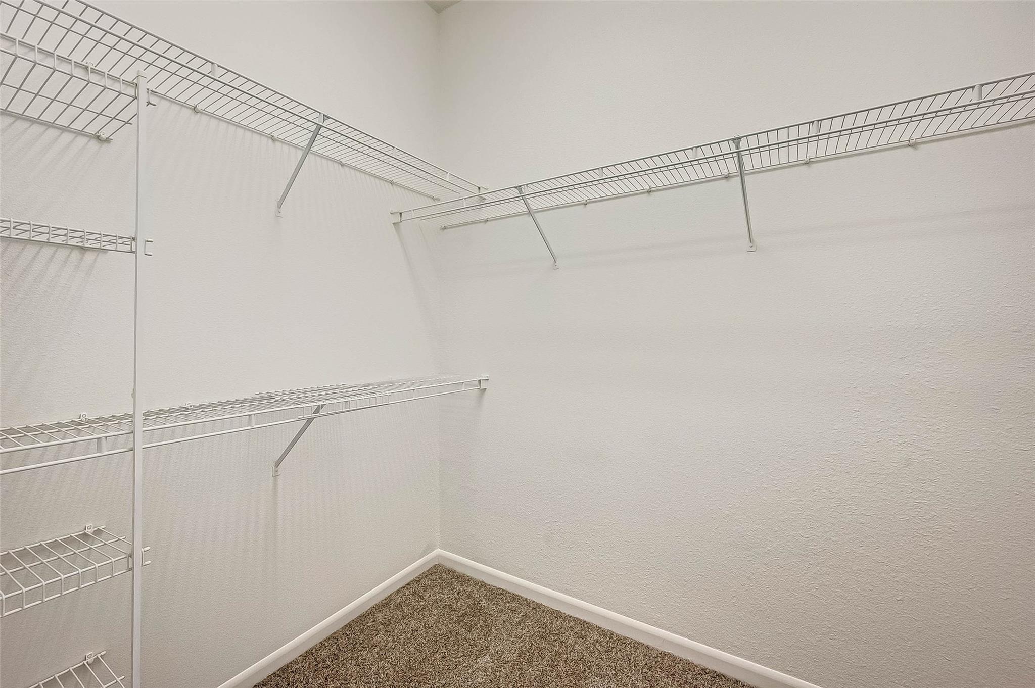 Empty walk-in closet with white wire shelving and brown carpet.