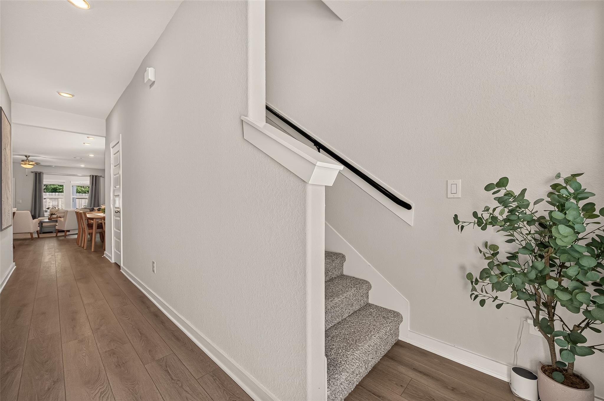 8522 Blueberry Ash Street