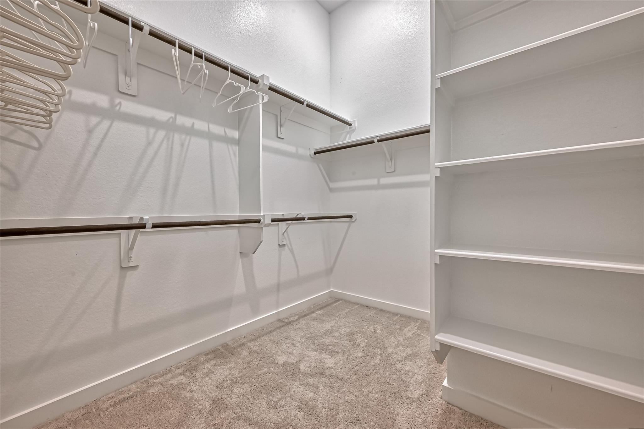 7933 Wild Thicket Drive