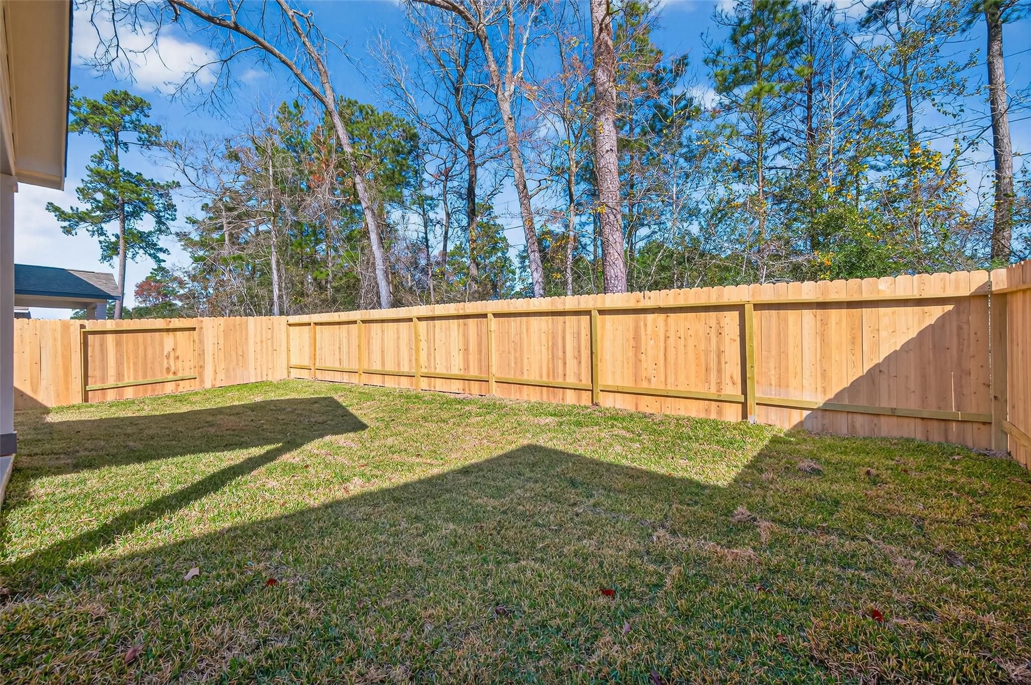 8514 Blueberry Ash Street