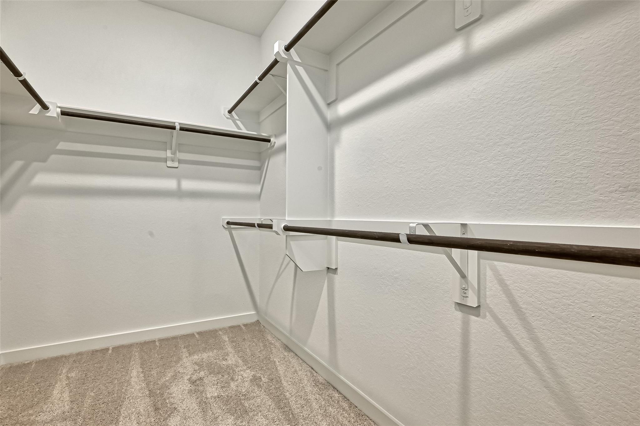 Empty walk-in closet with beige carpet and dark hanging rods on multiple walls.