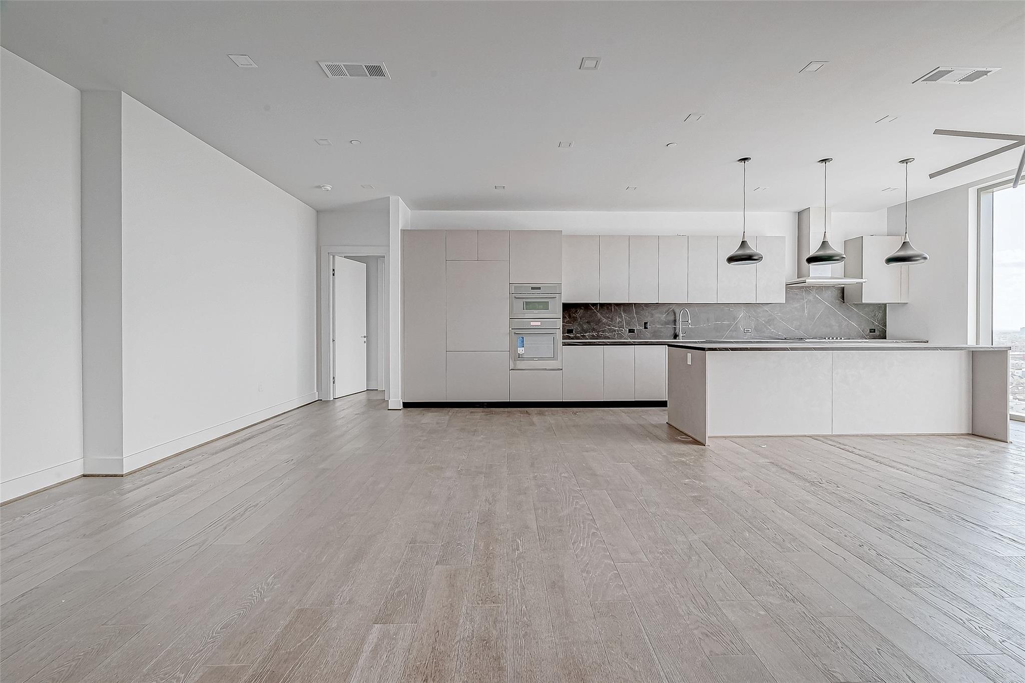 1711 Allen Parkway # 1703