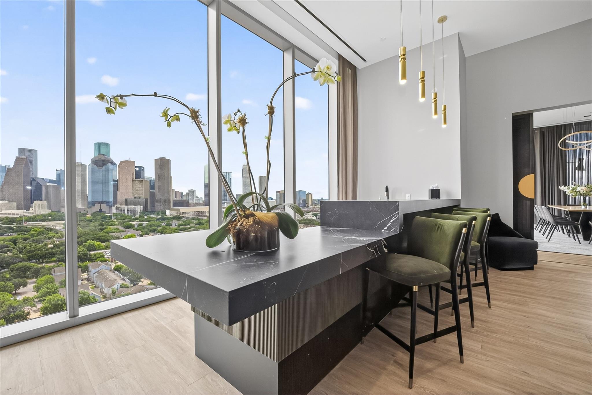 1711 Allen Parkway # 1703