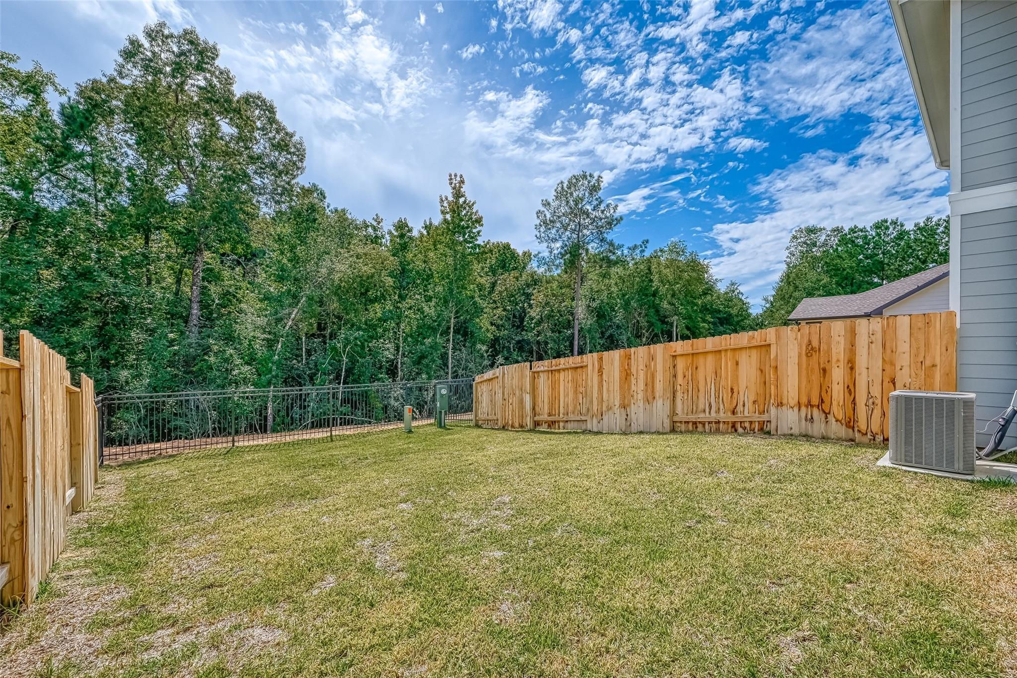 548 Long Leaf Pine
