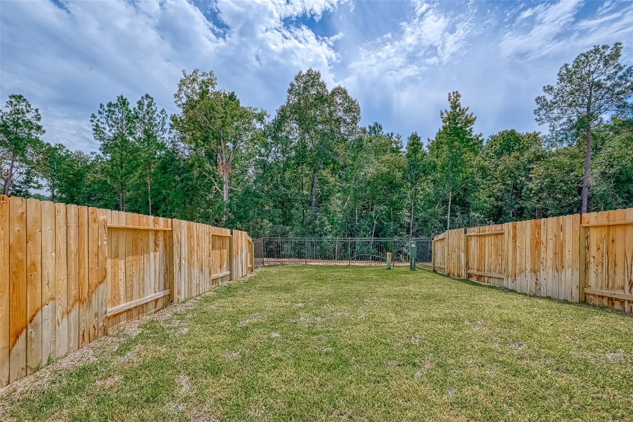 548 Long Leaf Pine