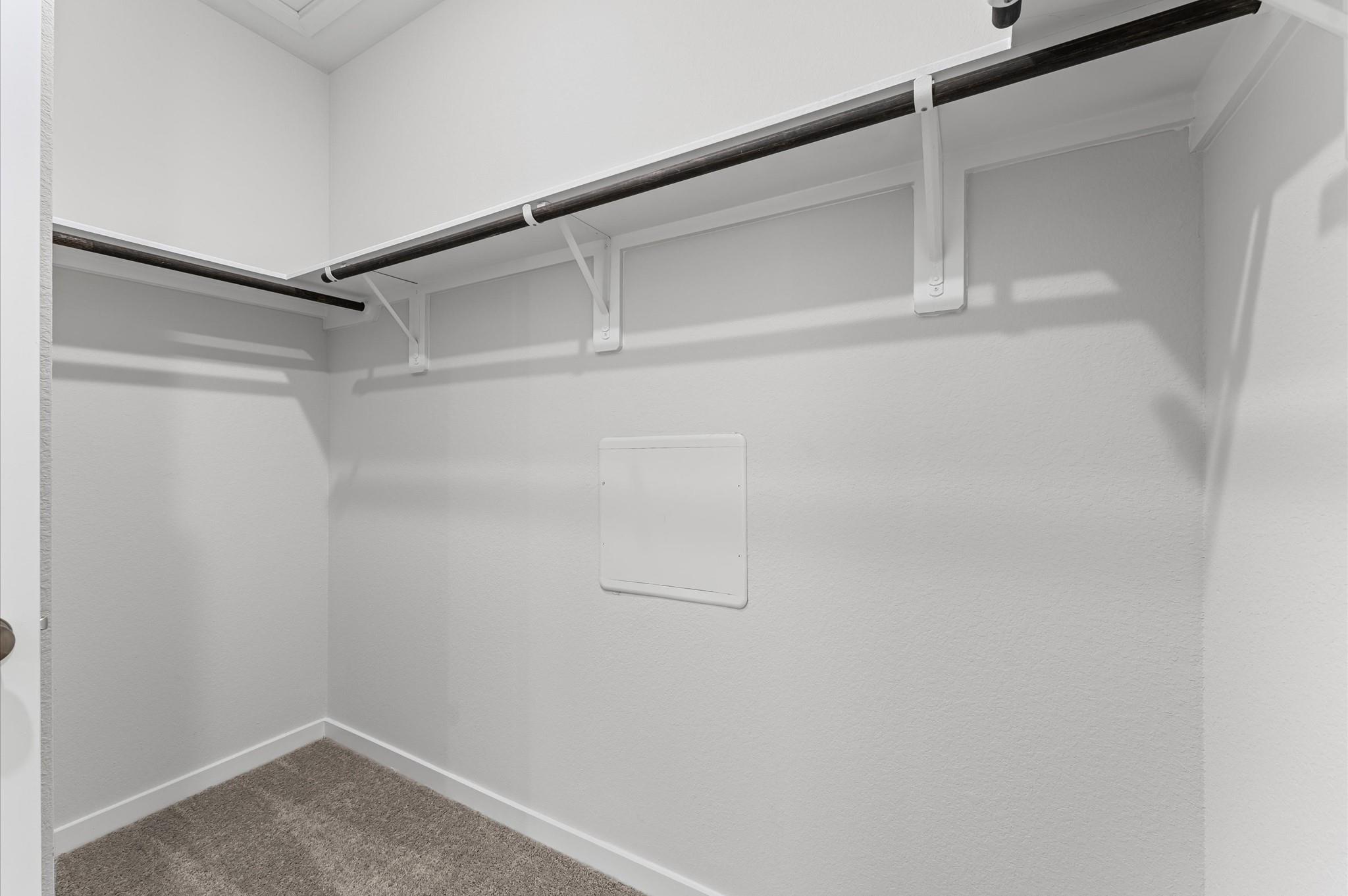 259 Brazen Forest Trail