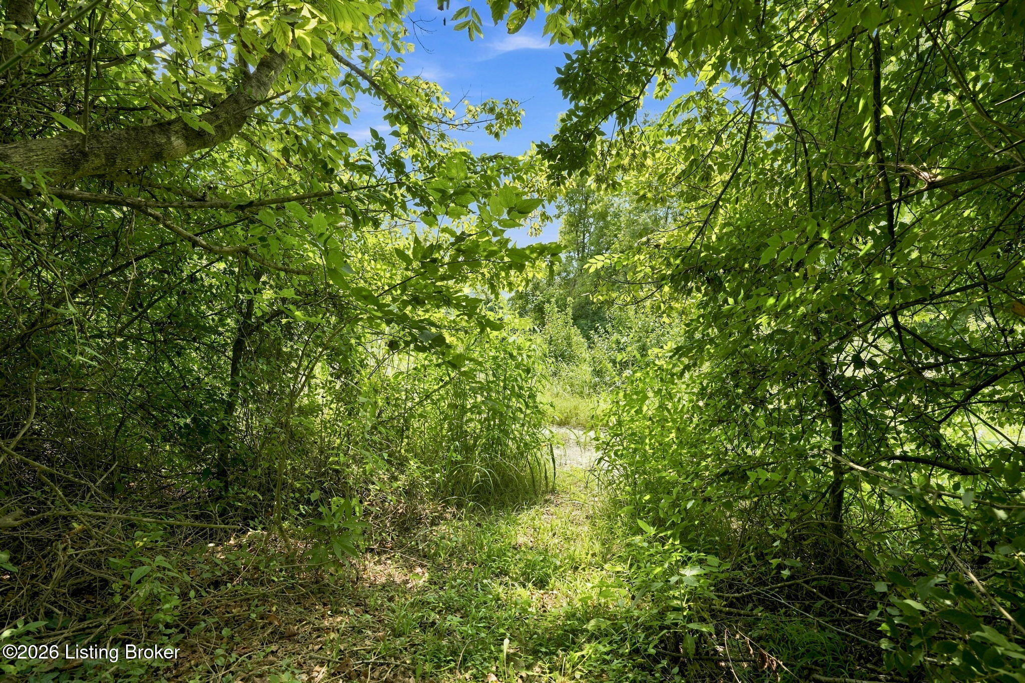 1210 Beckley Hills Ct