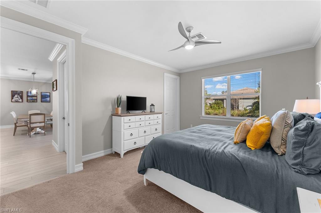 345 Deauville LOOP
