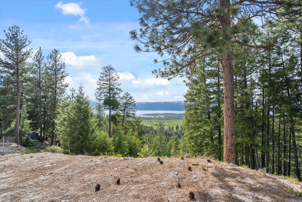 67 Little Donner Drive