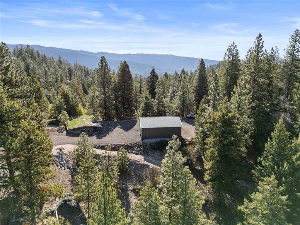 67 Little Donner Drive