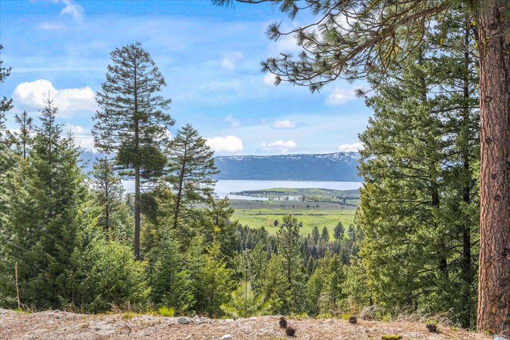 67 Little Donner Drive