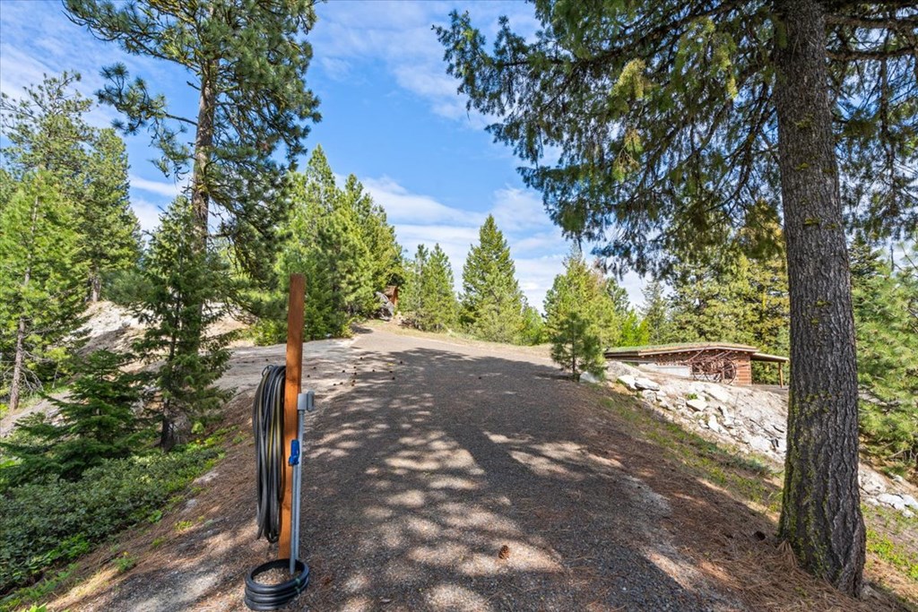 67 Little Donner Drive