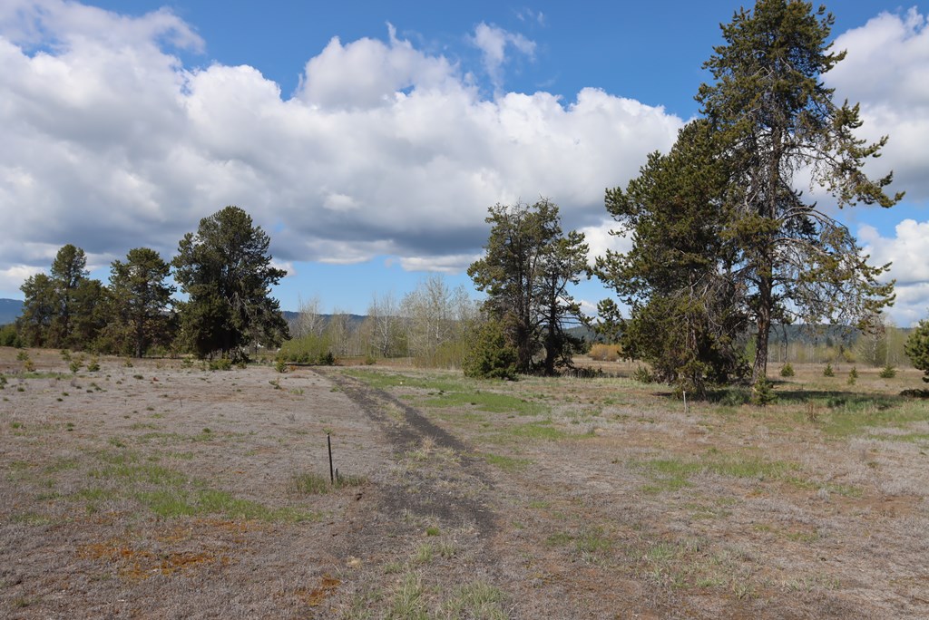 287 Rawhide Loop 32