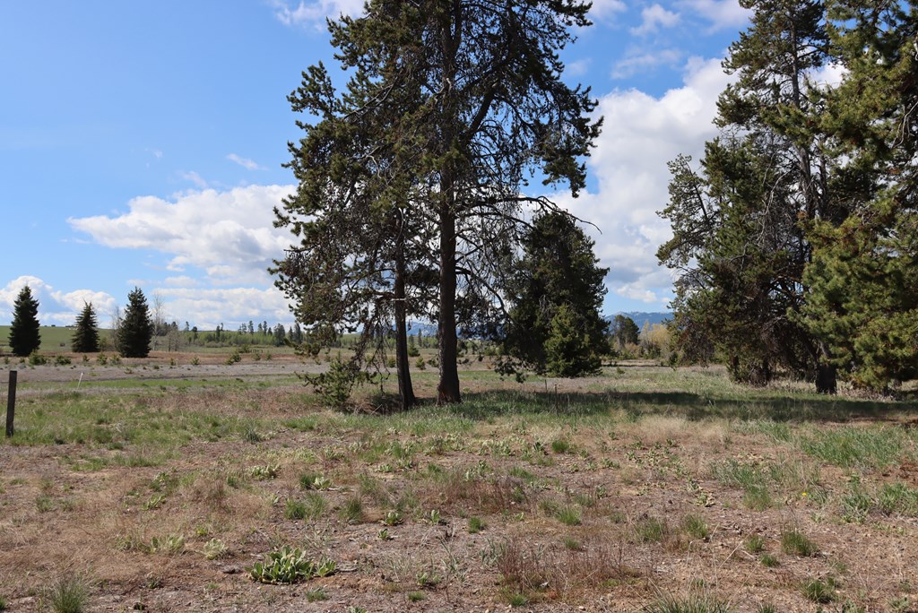 287 Rawhide Loop 32
