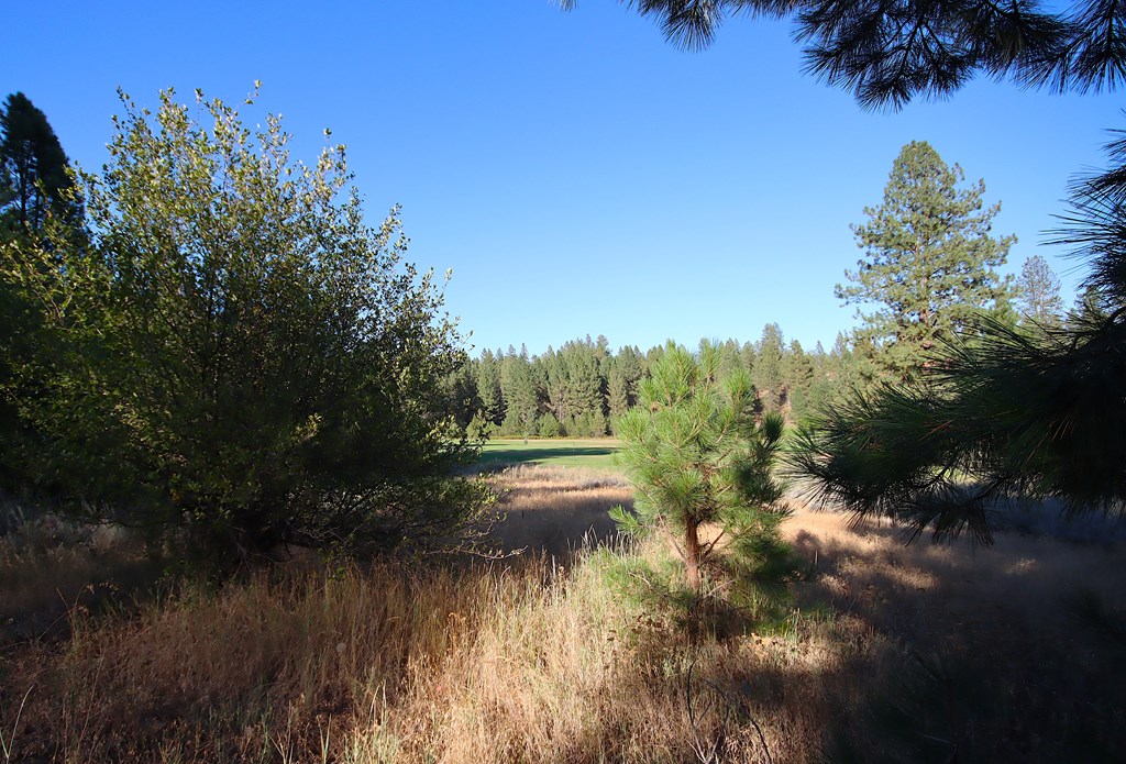 L4 Ponderosa Court # 4