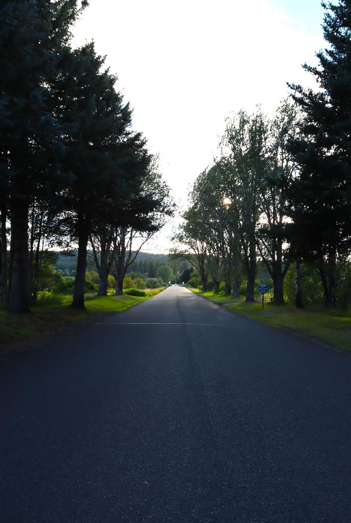 L4 Ponderosa Court # 4